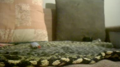 best189 live cam on Cam4