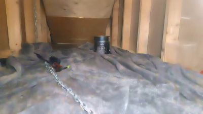 betacuckcbt live cam on Cam4