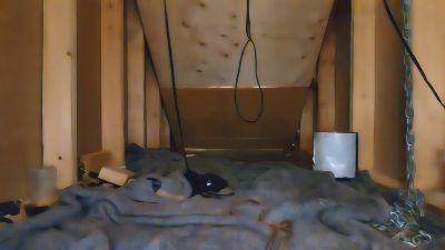betacuckcbt live cam on Cam4