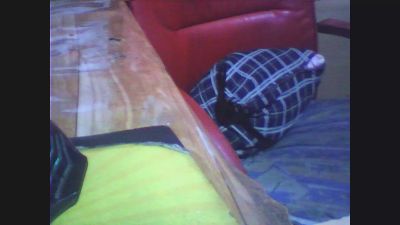 betercim live cam on Cam4