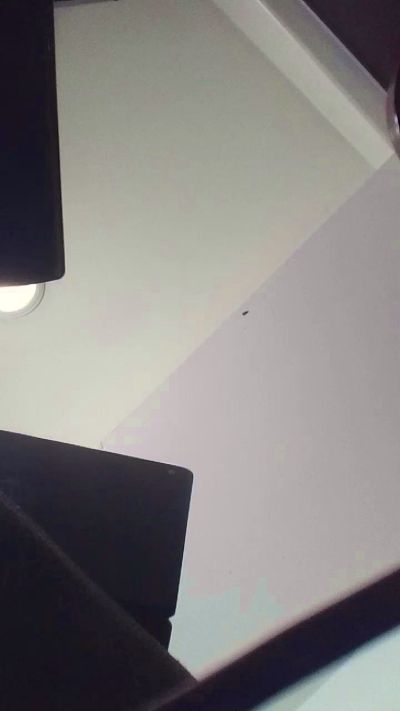 bigBUZZZZ69 live cam on Cam4