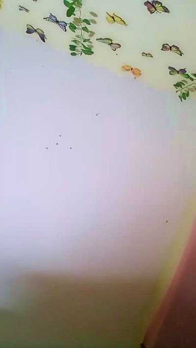bigass004 live cam on Cam4