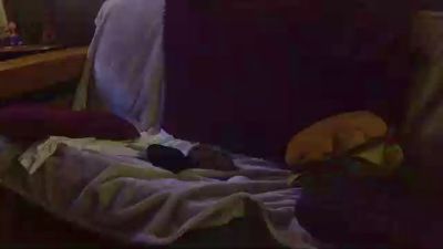 bigbigbig_sexy live cam on Cam4