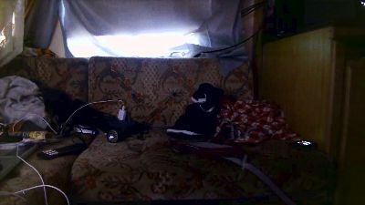 bigforyou_88 live cam on Cam4