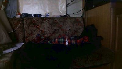 bigforyou_88 live cam on Cam4