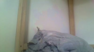 biscoiteiro live cam on Cam4