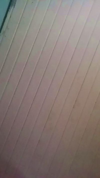bizzarap1987 live cam on Cam4