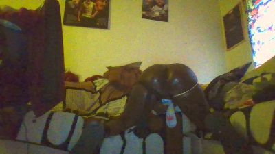 blackdick8888 live cam on Cam4