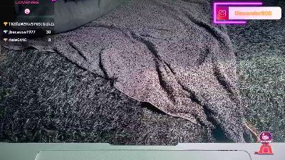 blackk_latino live cam on Cam4
