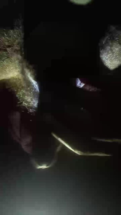 blacklolipop live cam on Cam4