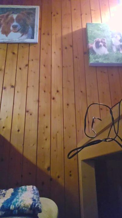 blasehase50 live cam on Cam4