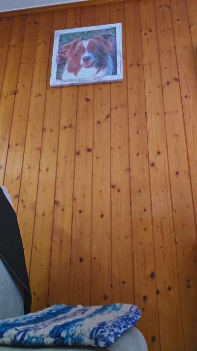 blasehase50 live cam on Cam4