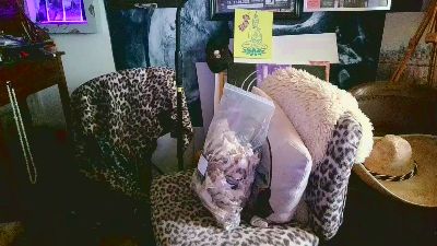 blindsurfer live cam on Cam4