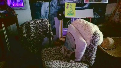 blindsurfer live cam on Cam4