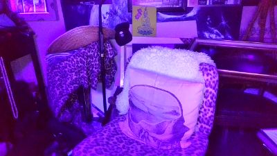 blindsurfer live cam on Cam4
