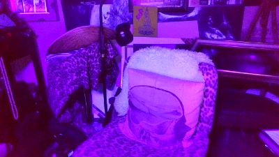 blindsurfer live cam on Cam4