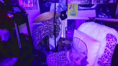 blindsurfer live cam on Cam4