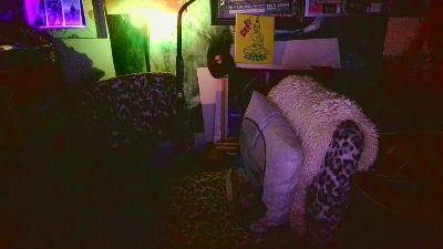 blindsurfer live cam on Cam4