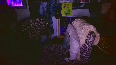 blindsurfer live cam on Cam4