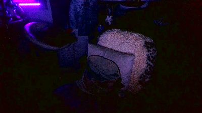 blindsurfer live cam on Cam4