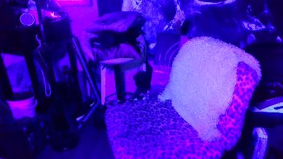 blindsurfer live cam on Cam4