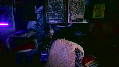 blindsurfer live cam on Cam4