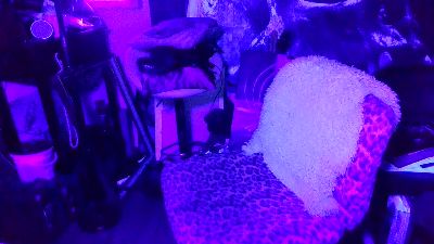 blindsurfer live cam on Cam4