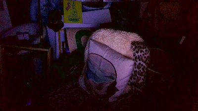 blindsurfer live cam on Cam4