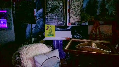 blindsurfer live cam on Cam4