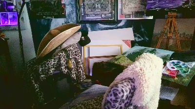 blindsurfer live cam on Cam4
