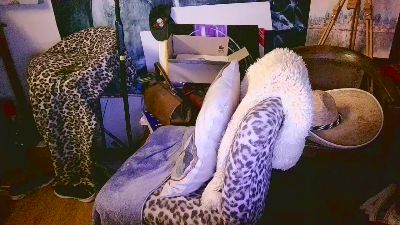 blindsurfer live cam on Cam4