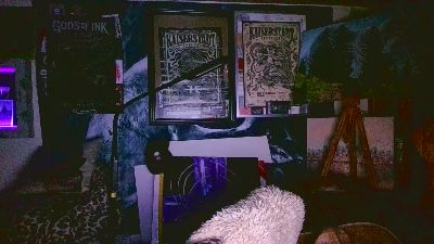 blindsurfer live cam on Cam4
