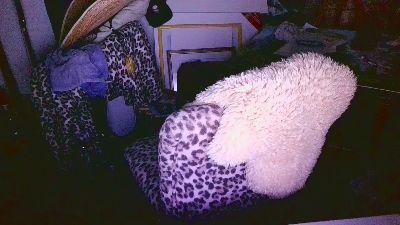 blindsurfer live cam on Cam4