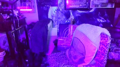 blindsurfer live cam on Cam4