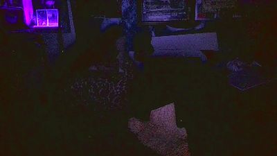 blindsurfer live cam on Cam4
