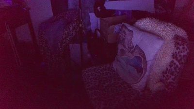 blindsurfer live cam on Cam4