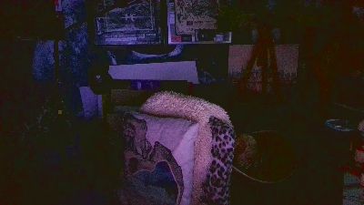 blindsurfer live cam on Cam4