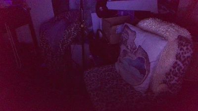 blindsurfer live cam on Cam4