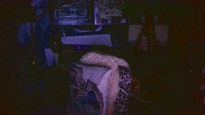 blindsurfer live cam on Cam4