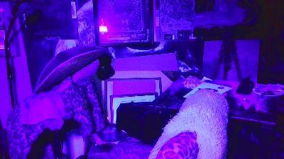 blindsurfer live cam on Cam4