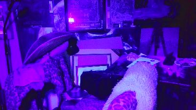 blindsurfer live cam on Cam4