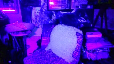 blindsurfer live cam on Cam4