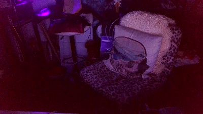 blindsurfer live cam on Cam4