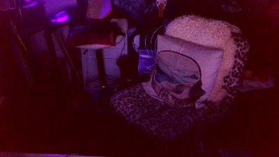 blindsurfer live cam on Cam4