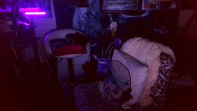 blindsurfer live cam on Cam4