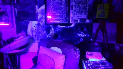 blindsurfer live cam on Cam4