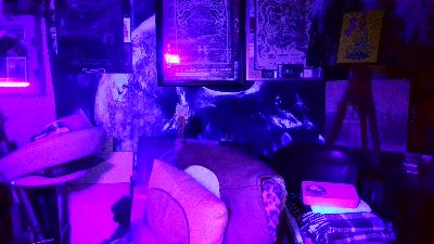 blindsurfer live cam on Cam4