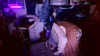 blindsurfer live cam on Cam4