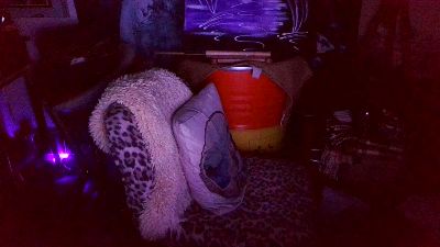 blindsurfer live cam on Cam4