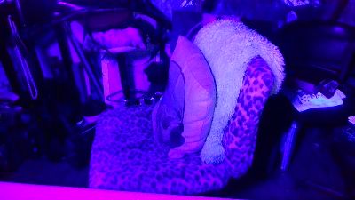 blindsurfer live cam on Cam4